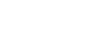 Our Digital Future_Logo white